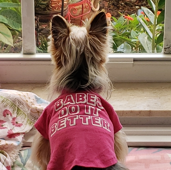 Massy xoxo ♡ - Picture 13 of 16